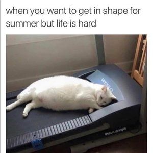 Meet your Posher, Noeline